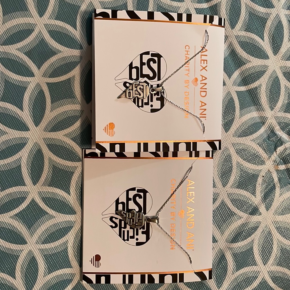 Alex and Ani Best Friends Necklace set